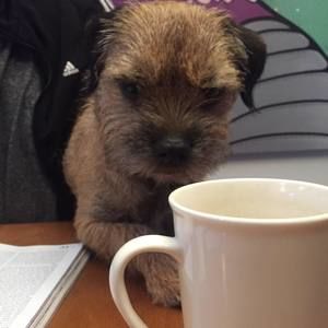 Meet your Posher, Brian